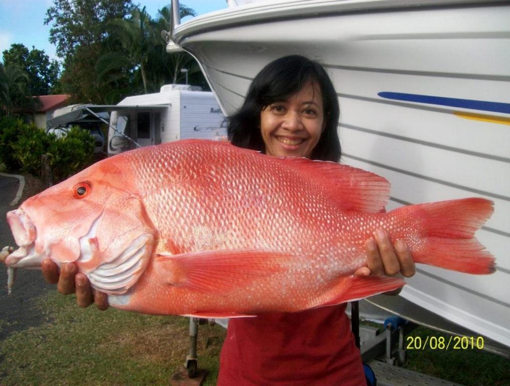 Flying Fish Point Tourist Park 호텔 이니스페일 외부 사진